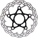 DB111FLWCL - back.webp