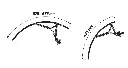 cms_Shield_G50_Size_page_0001.webp