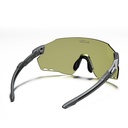 Glasses WINDBREAKER classic (5 models)