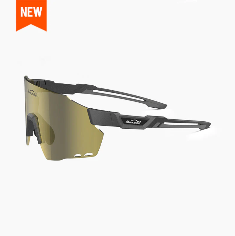 Glasses WINDBREAKER classic (5 models)