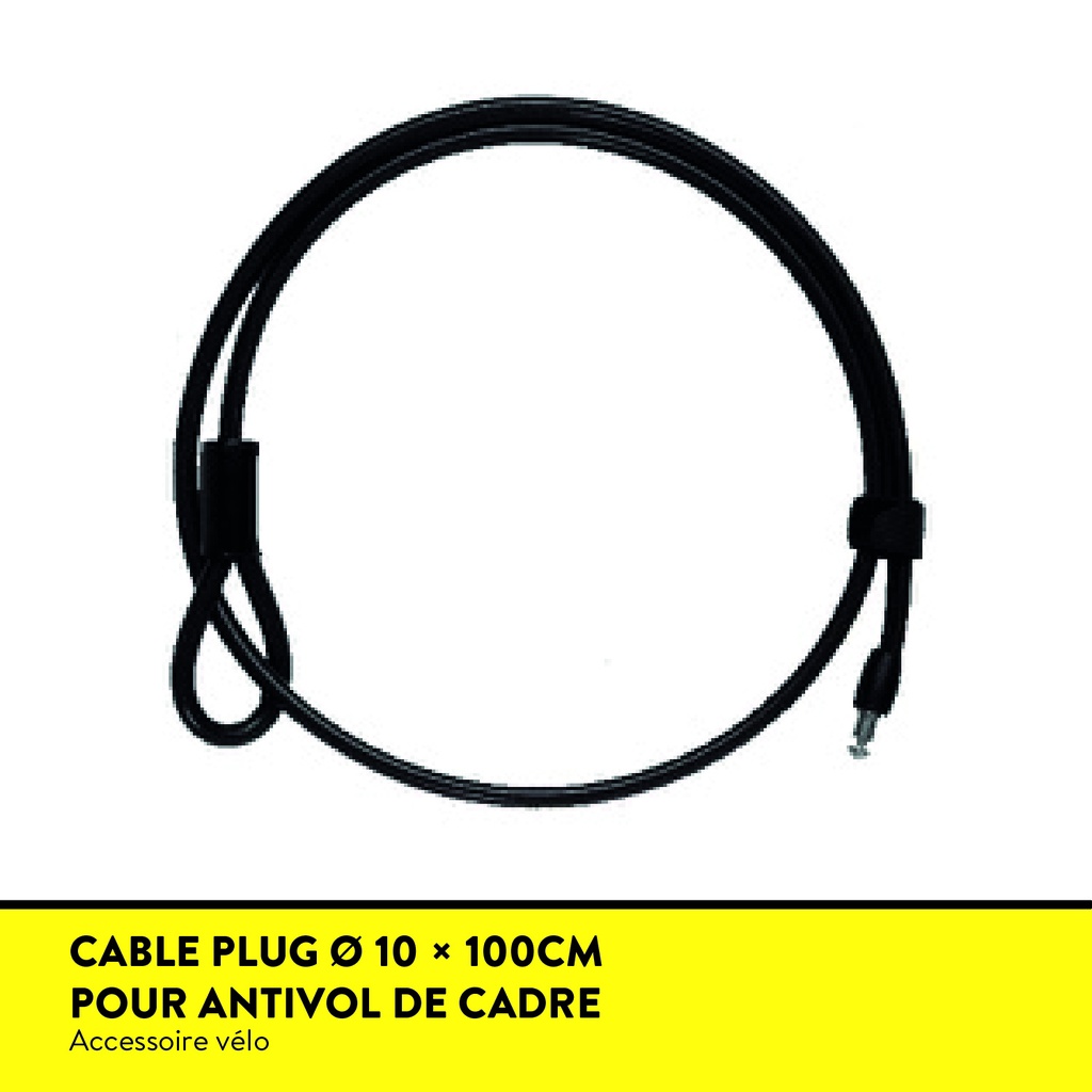 CABLE PLUG EVOLOCK Câble Plug Long 100 Ø 10