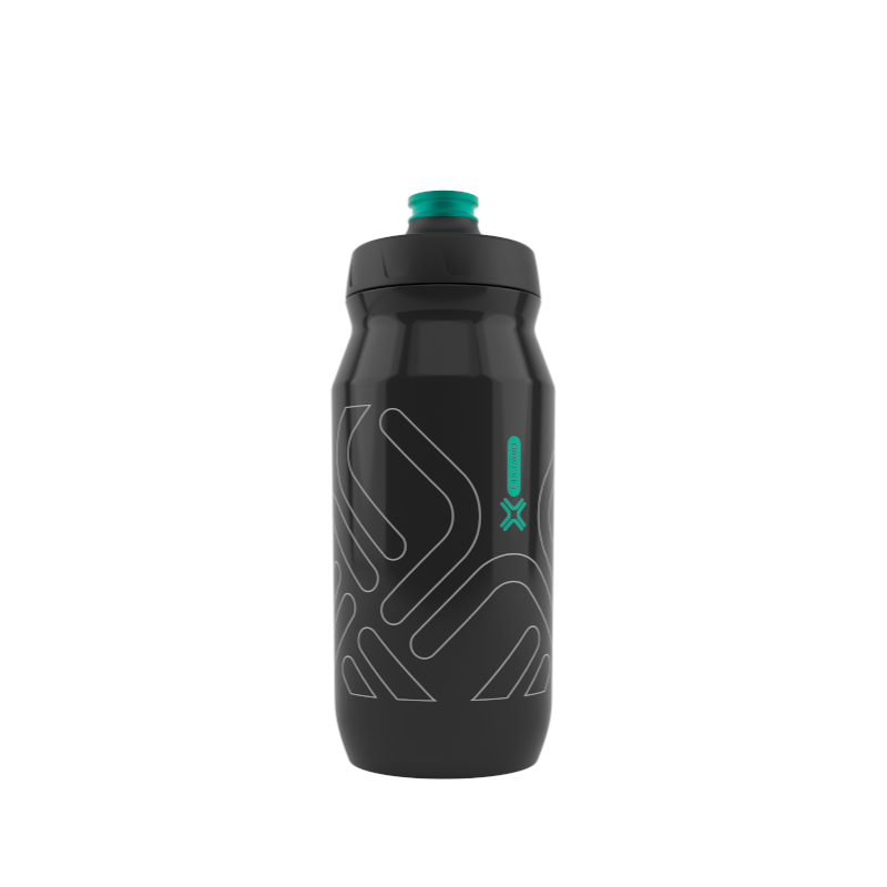 Fidguard bottle 600 antibacterial / TRANSPARENT BLACK - GREY