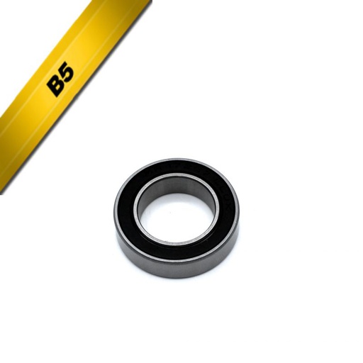 [BB-UB-17287-B5] BB-UB-17287-B5