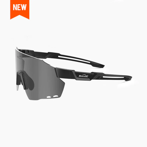 Glasses WINDBREAKER classic (5 models)