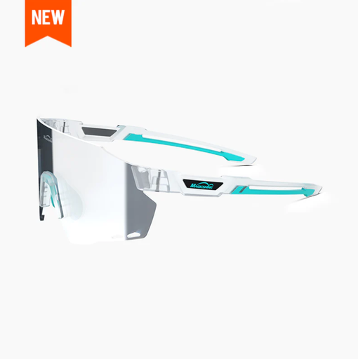 Glasses WINDBREAKER B photochromic (3 models)