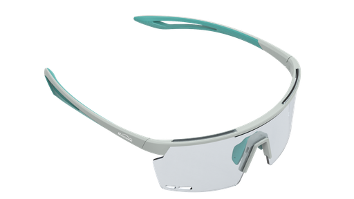 ROULEUR Night Vision Models (3 models) Glasses