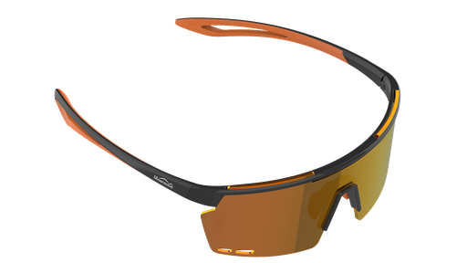 ROULEUR Classic Models (6 models) Glasses