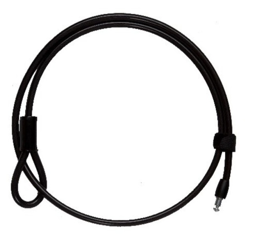 [CAPEVO100AUV10] CABLE PLUG EVOLOCK Câble Plug Long 100 Ø 10
