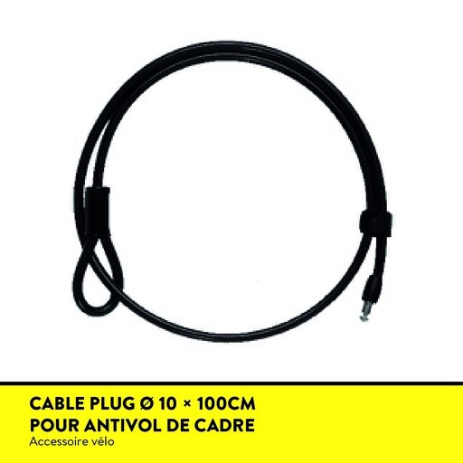 [CAPEVO100AUV10] CABLE PLUG EVOLOCK Câble Plug Long 100 Ø 10